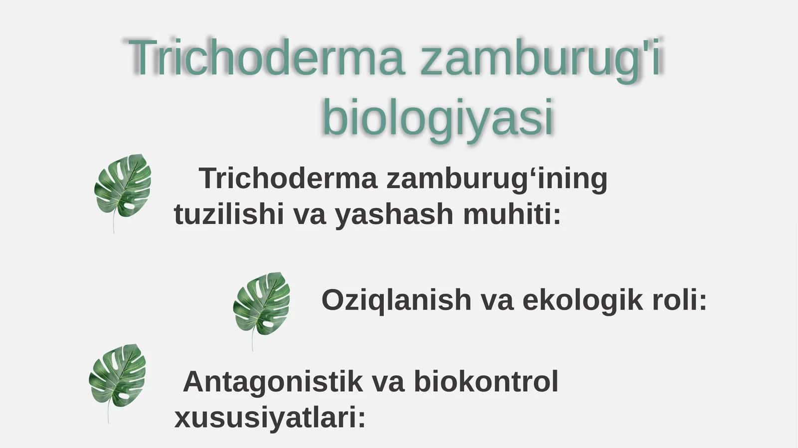 Trichoderma zamburug'i biologiyasi 1