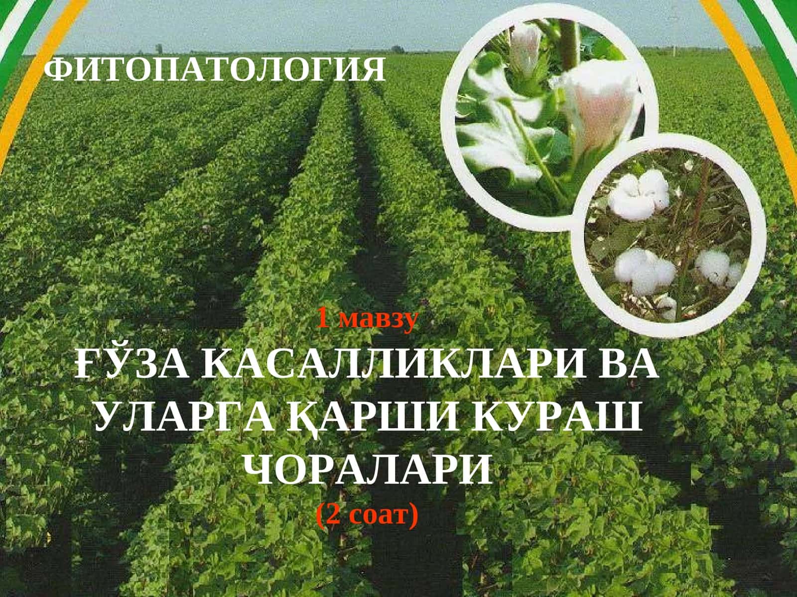 ФИТОПАТОЛОГИЯ 1