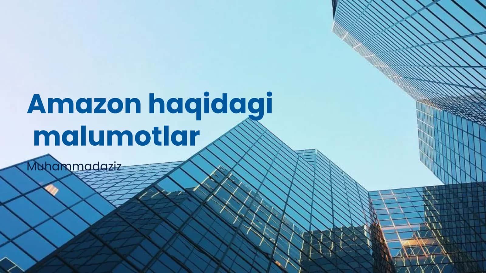 Amazonning Asosiy Faoliyat Sohalari 1