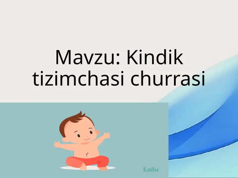 Kindik tizimchasi churrasi 1