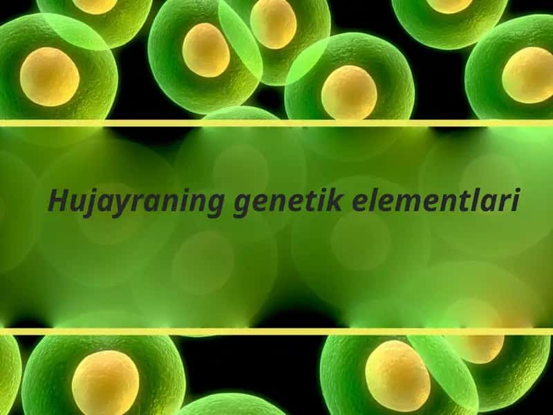 Hujayraning genetik elementlari 1
