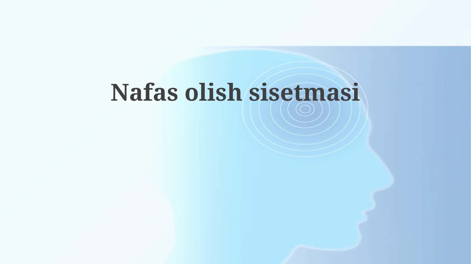 Nafasolishsisetmasi 1