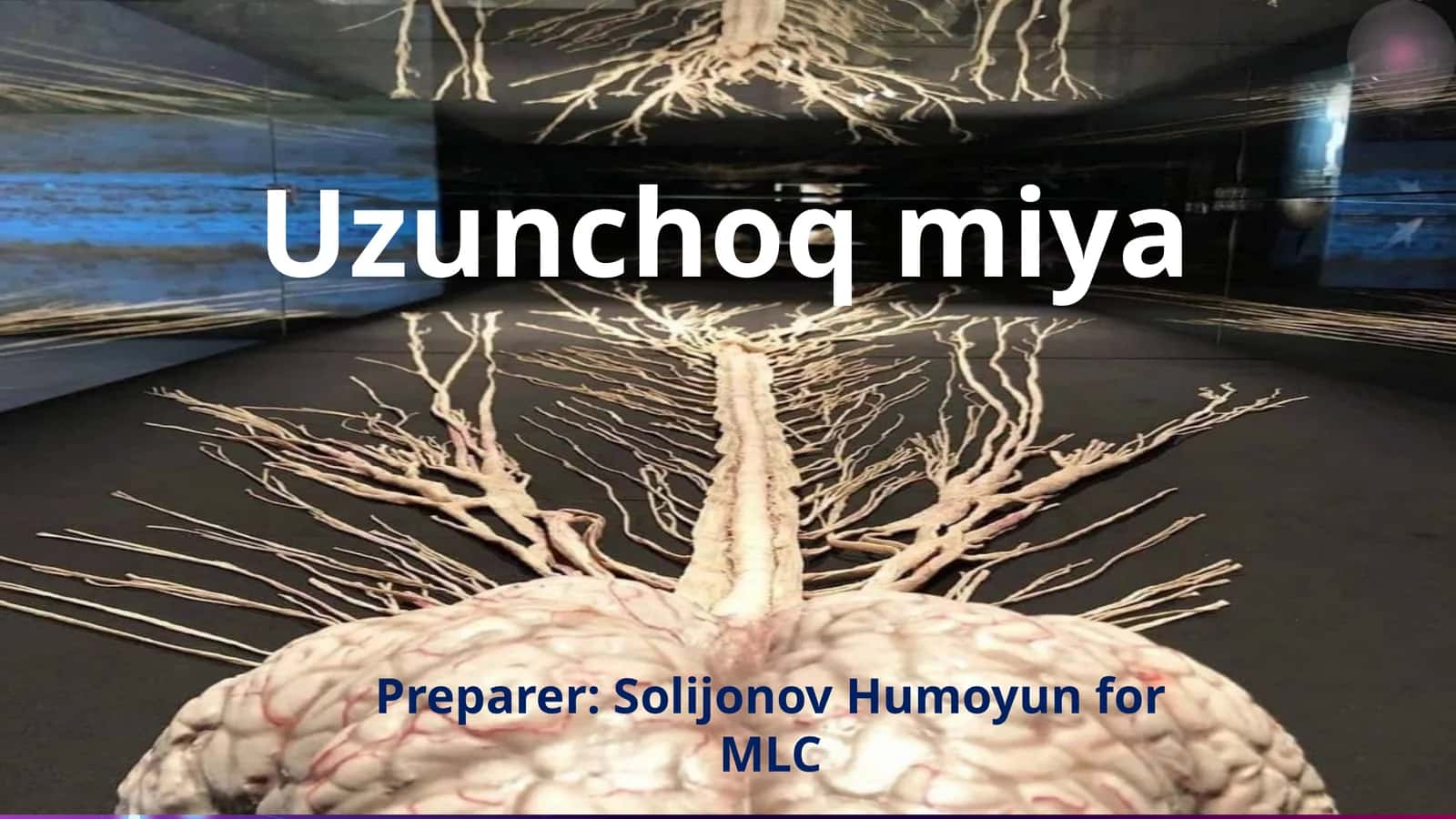 Boshmiyaning rivojlanishi 1