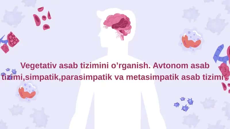 Vegetativ nerv sistemasi 1