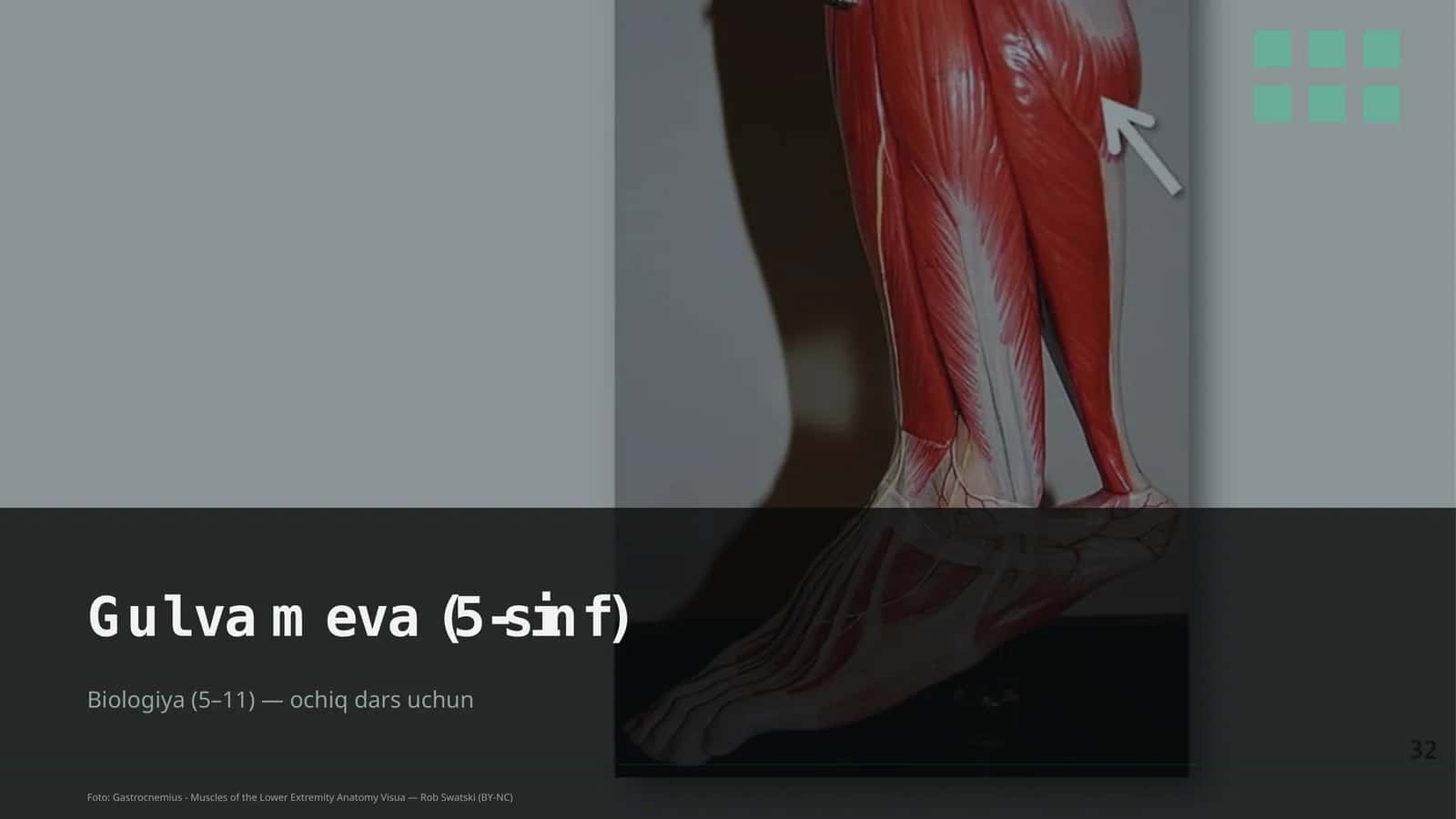 Gul va meva (5-sinf) 1