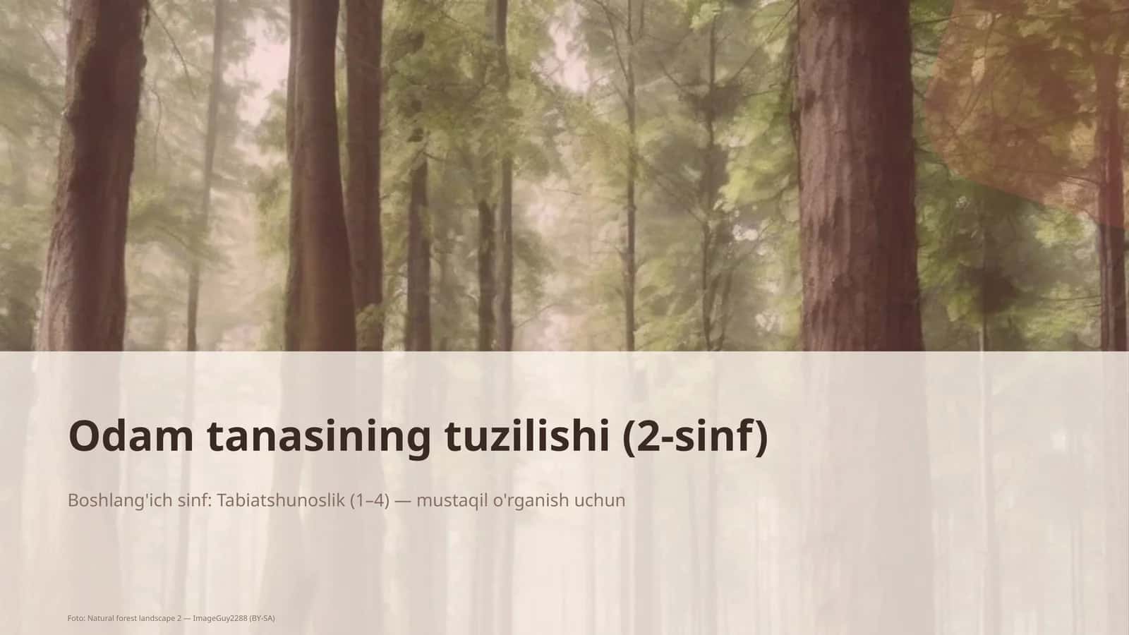 Odam tanasining tuzilishi (2-sinf) 1
