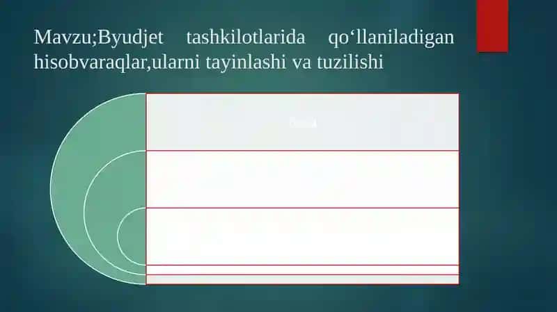 Byudjet tashkilotlarida qo‘llaniladigan hisob vaqlari