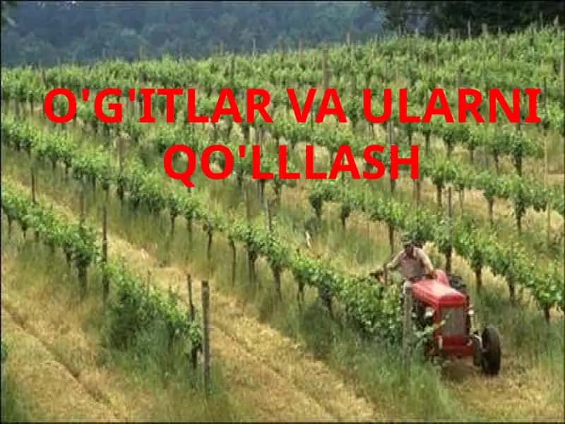 O'G'ITLAR VA ULARNI QO'LLLASH 1