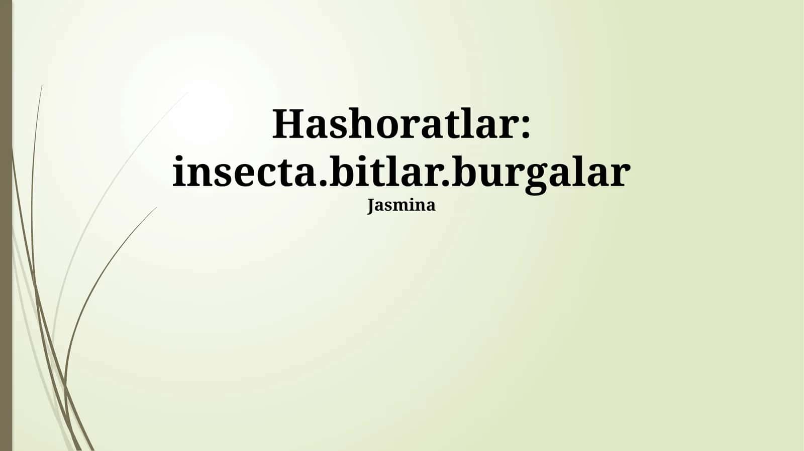 Hashoratlar: insecta.bitlar.burgalar 1