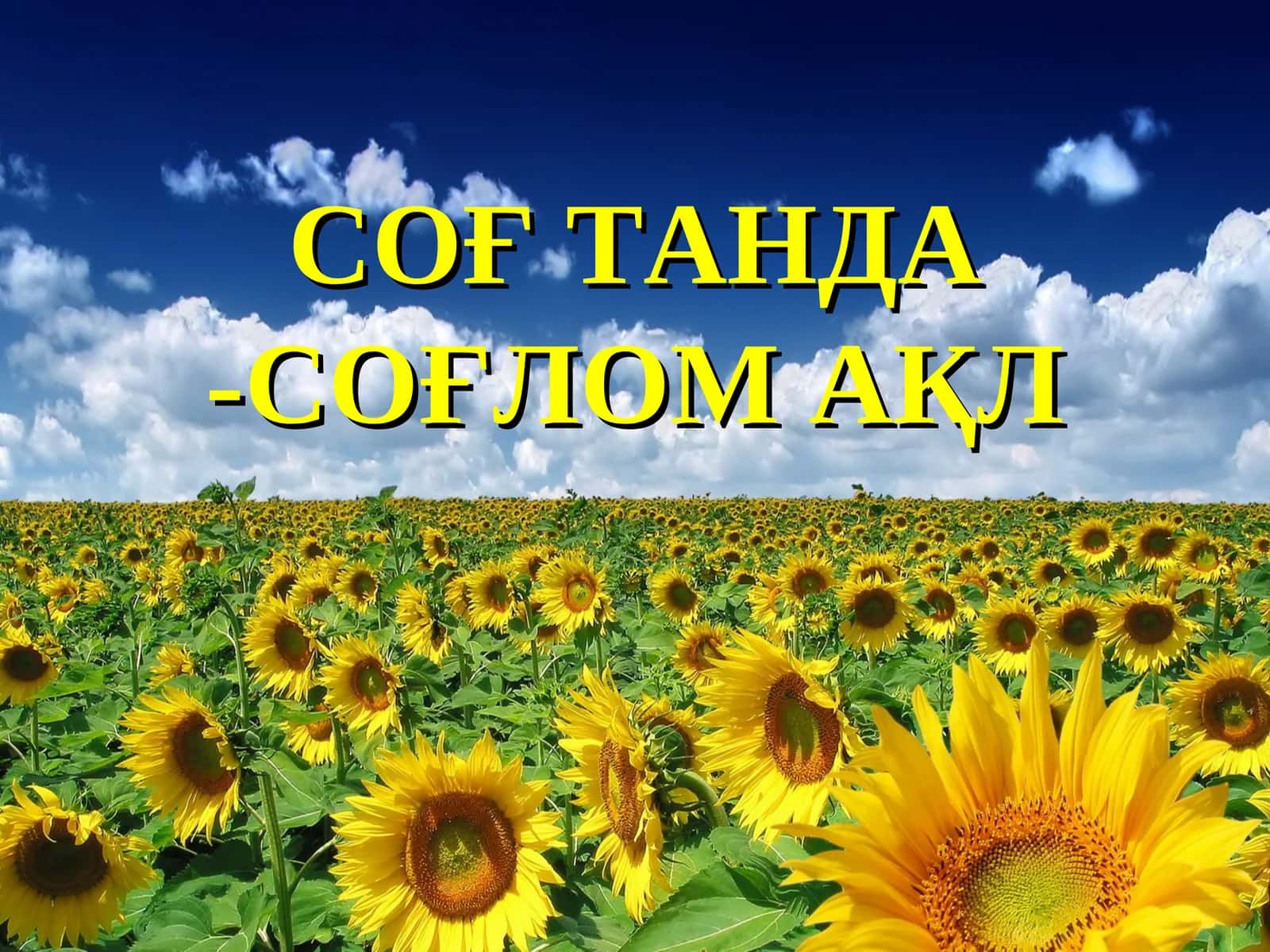СОҒТАНДА -СОҒЛОМ АҚЛ 1