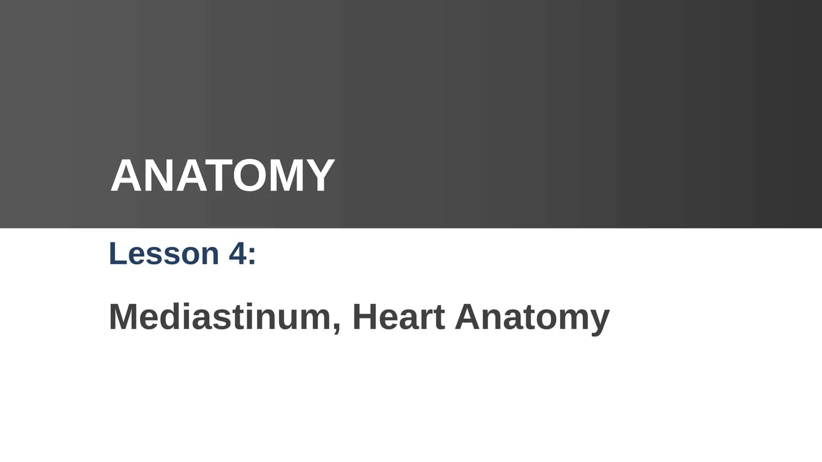 Mediastinum, Heart Anatomy 1