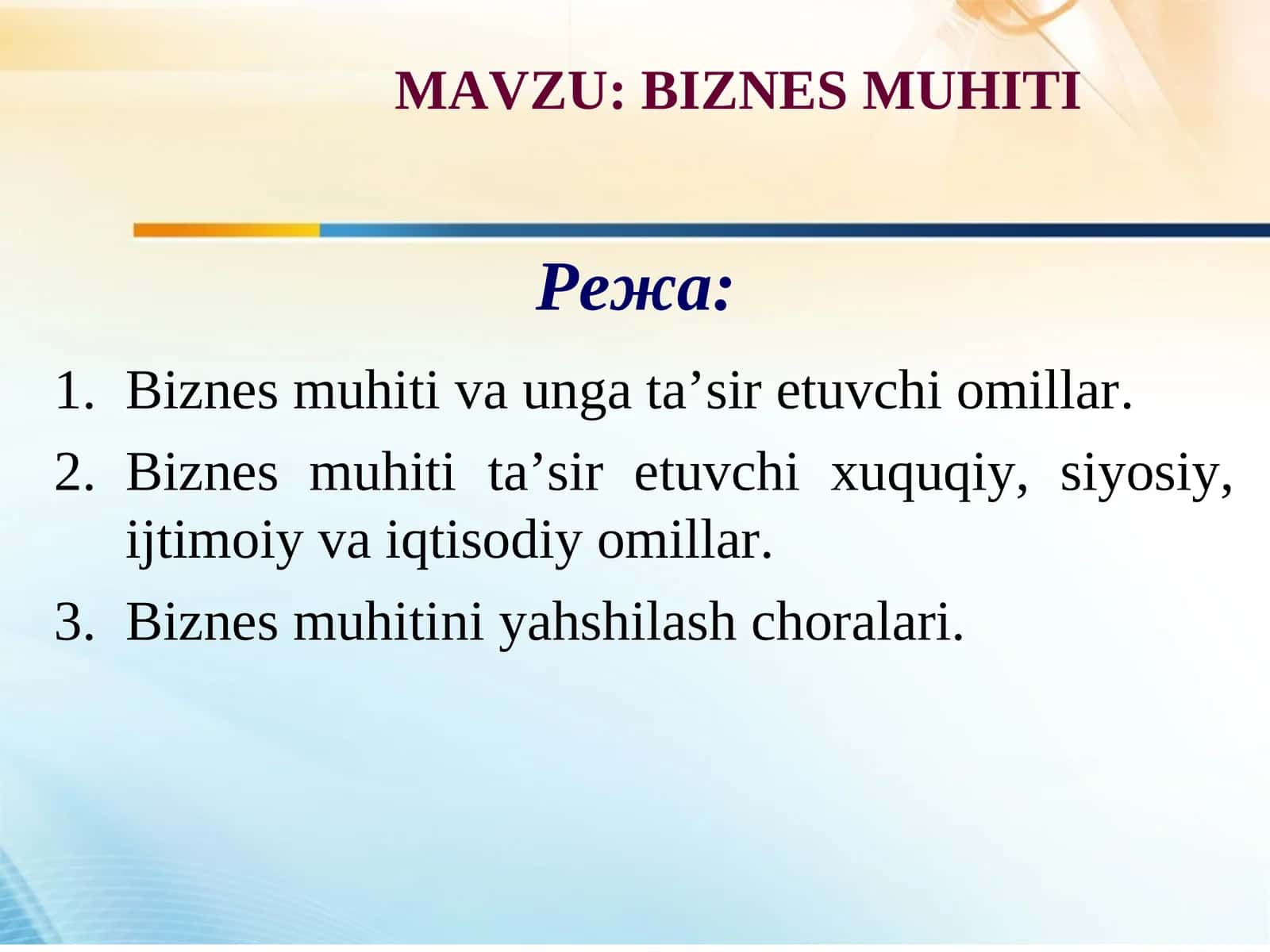 BIZNESMUHITI 1