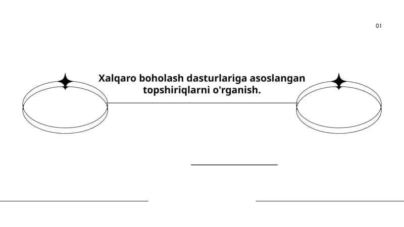 Xalqaro boholash dasturlari: tushunchasi va turlari 1