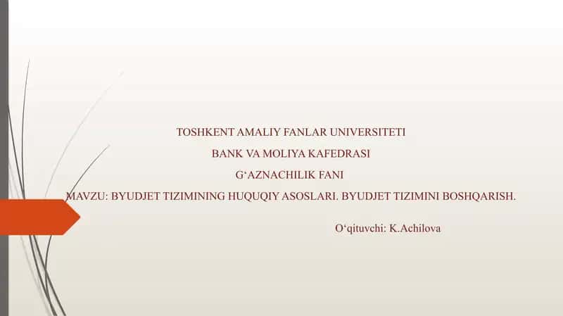 BYUDJET TIZIMINING HUQUQIY ASOSLARI. BYUDJET TIZIMINI BOSHQARISH. 1