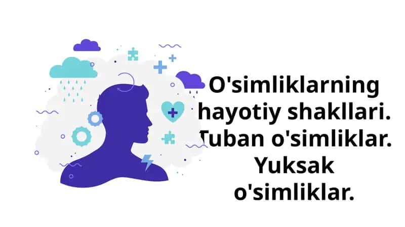 O'simliklarning hayotiy shakllari 1