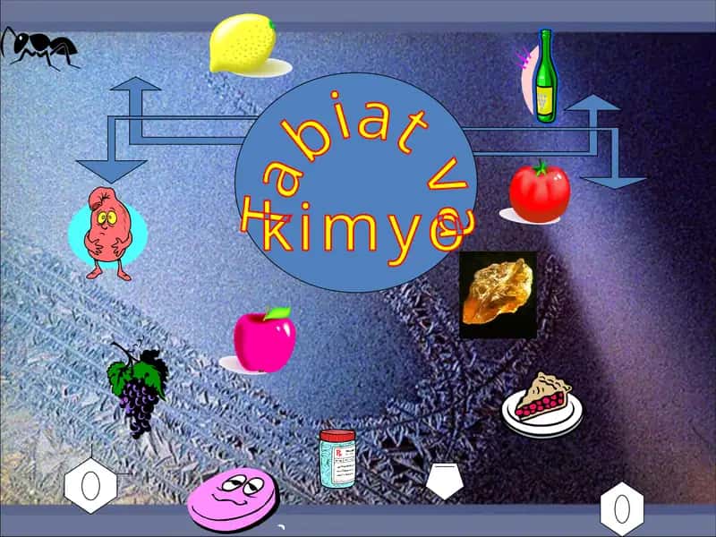 Kimyo kislotalari 1