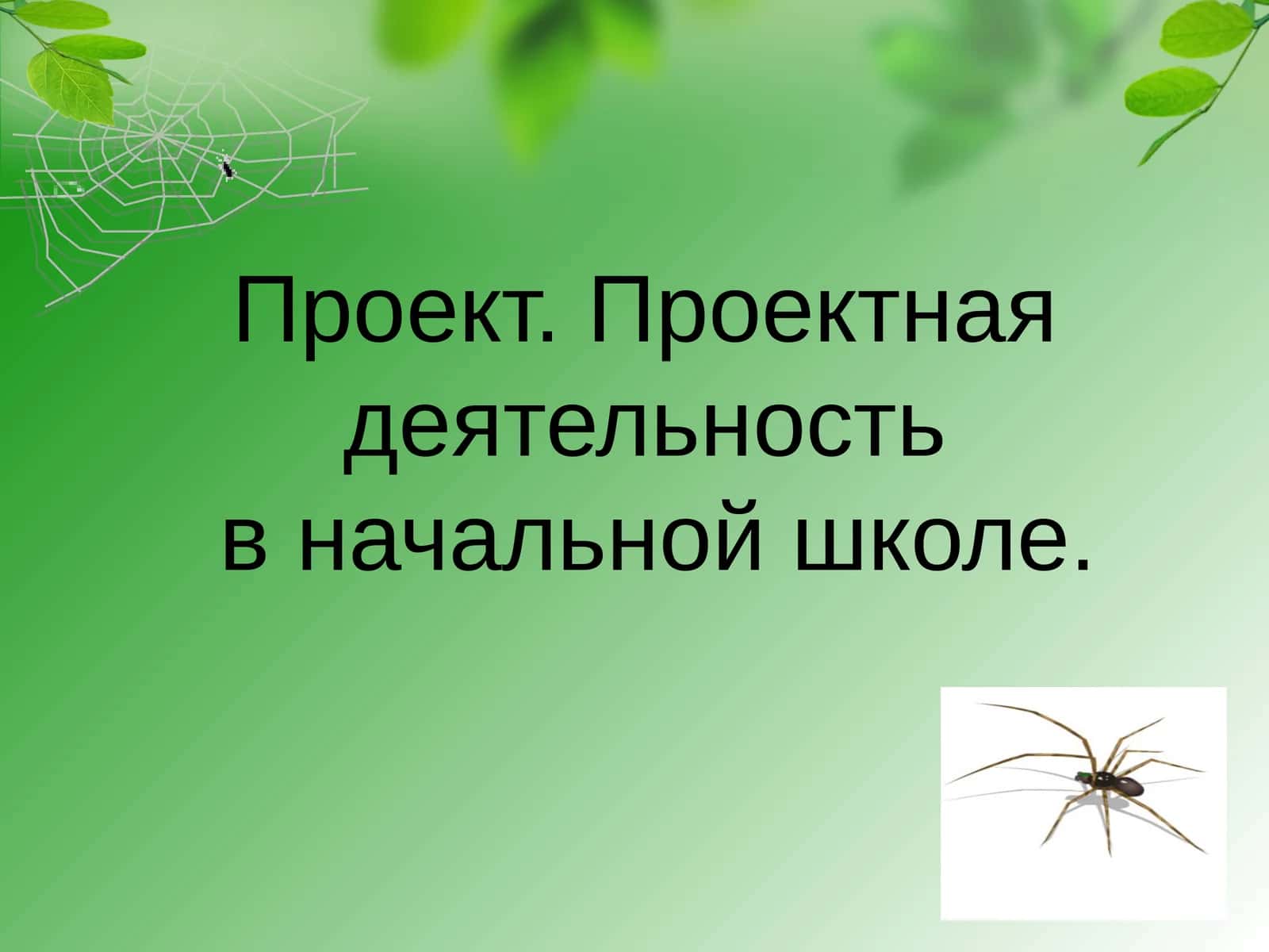 Проектная деятельность в начальной школе 1