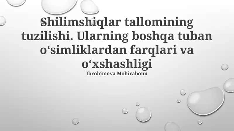 Shilimshiqlar tallomining tuzilishi 1