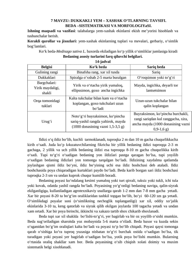 DUKKAKLI YEM – XASHAK O‘TLARNING TAVSIFI 1