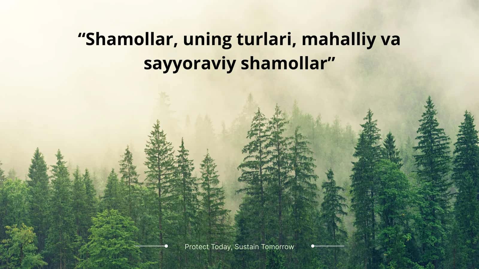 Shamollar, uning turlari, mahalliy va sayyoraviy shamollar 1