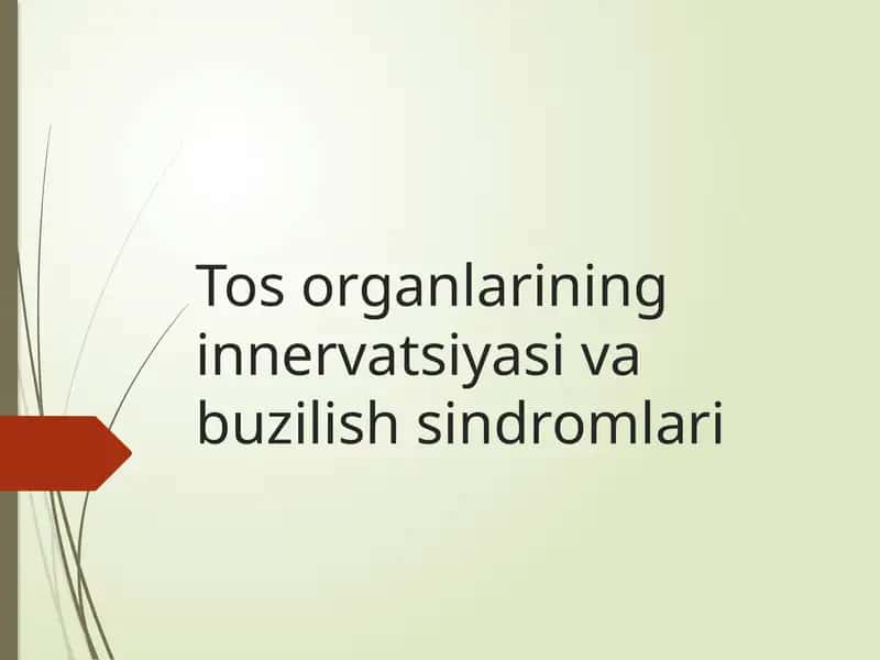 Tosorganlarining innervatsiyasi va buzilish sindromlari 1