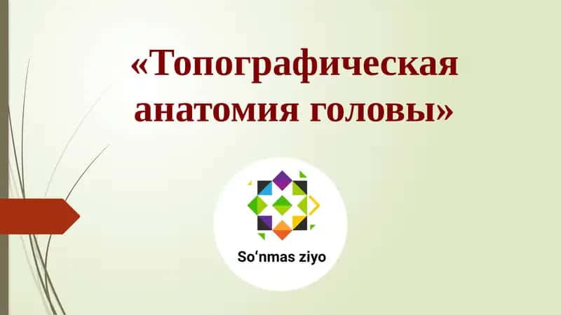 Топографическая анатомия головы 1