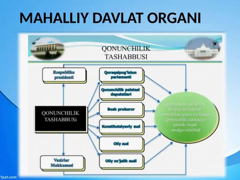 Mahalliy Davlat Organi 1