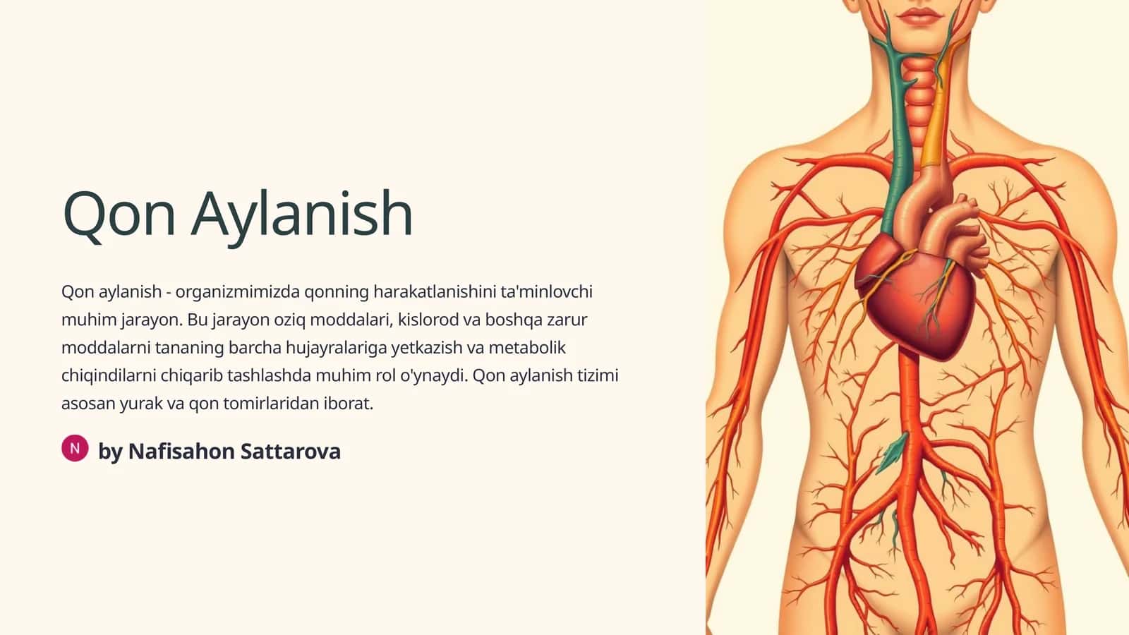 Qon Aylanish 1