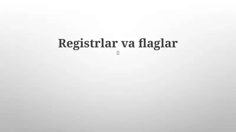 Registrlar va flaglar 1