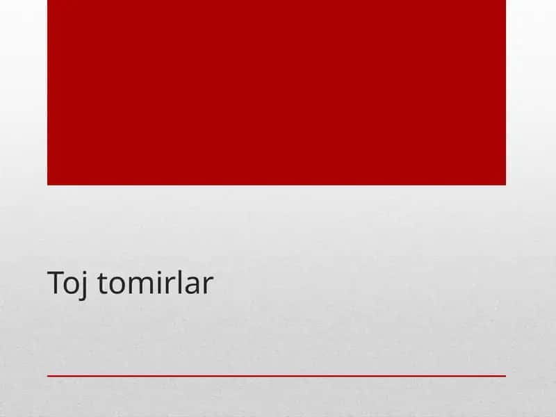 Yurak va yirik qon tomirlari tekshirishi 1