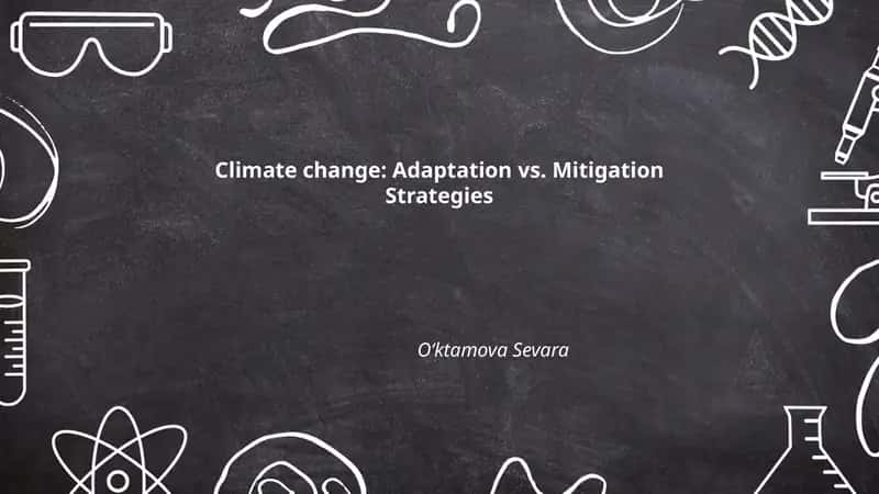 Climate Change: Adaptation vs. Mitigation Strategies 1