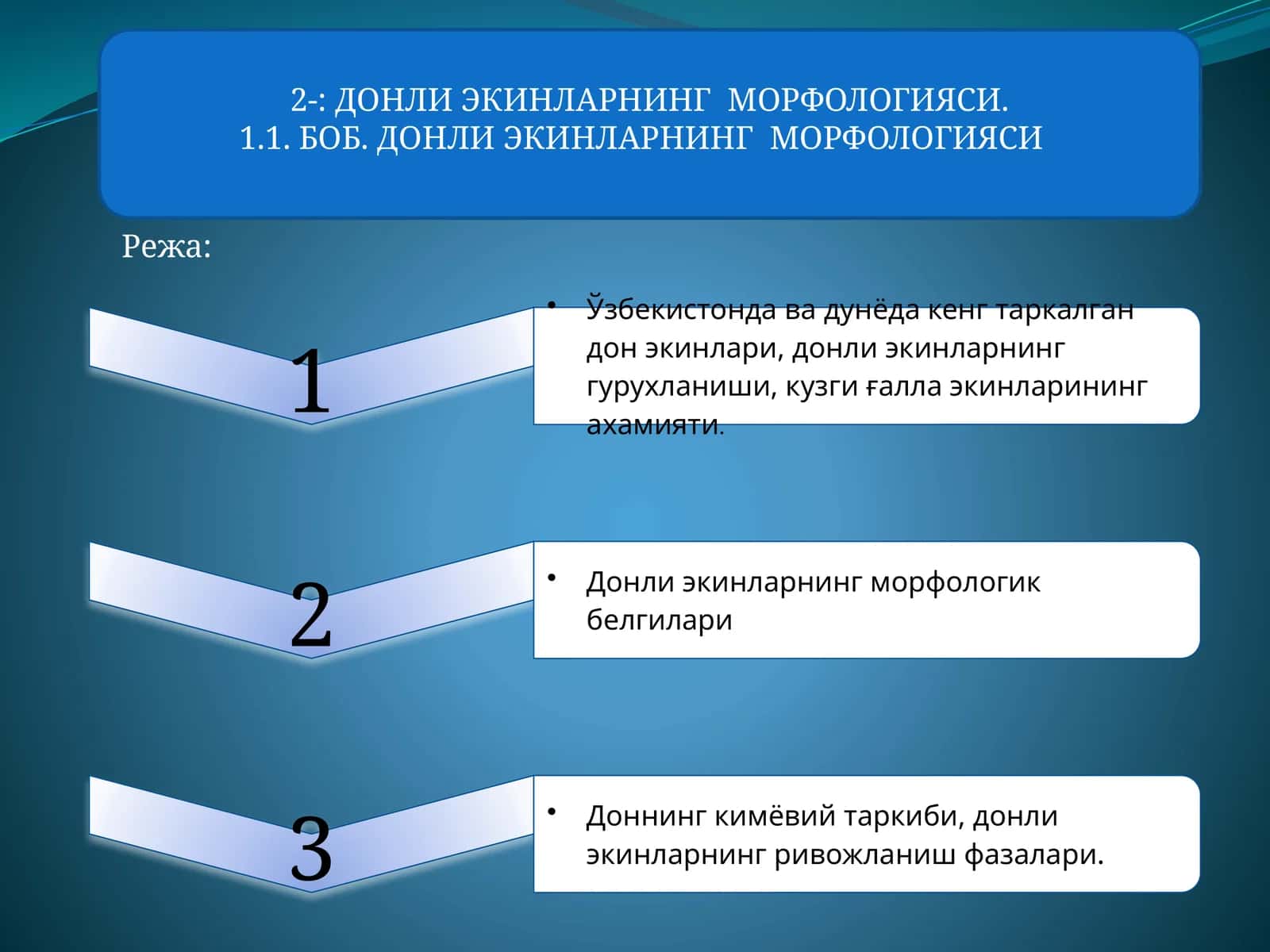ДОНЛИ ЭКИНЛАРНИНГ МОРФОЛОГИЯСИ 1