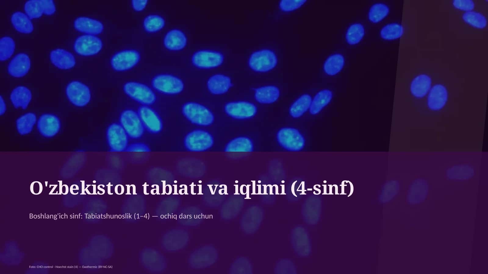 O'zbekiston tabiati va iqlimi (4-sinf) 1