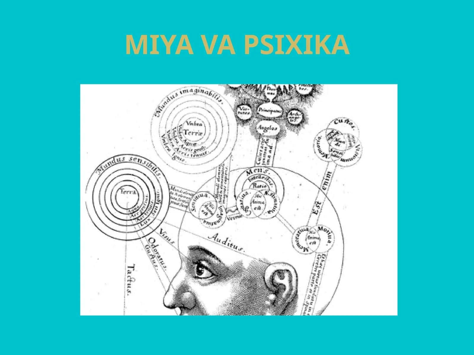MIYA VA PSIXIKA 1