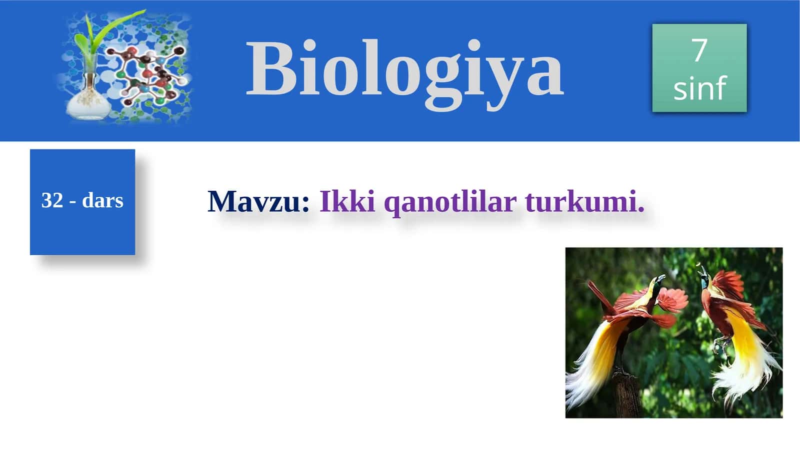 Ikkiqanotlilarturkumi 1