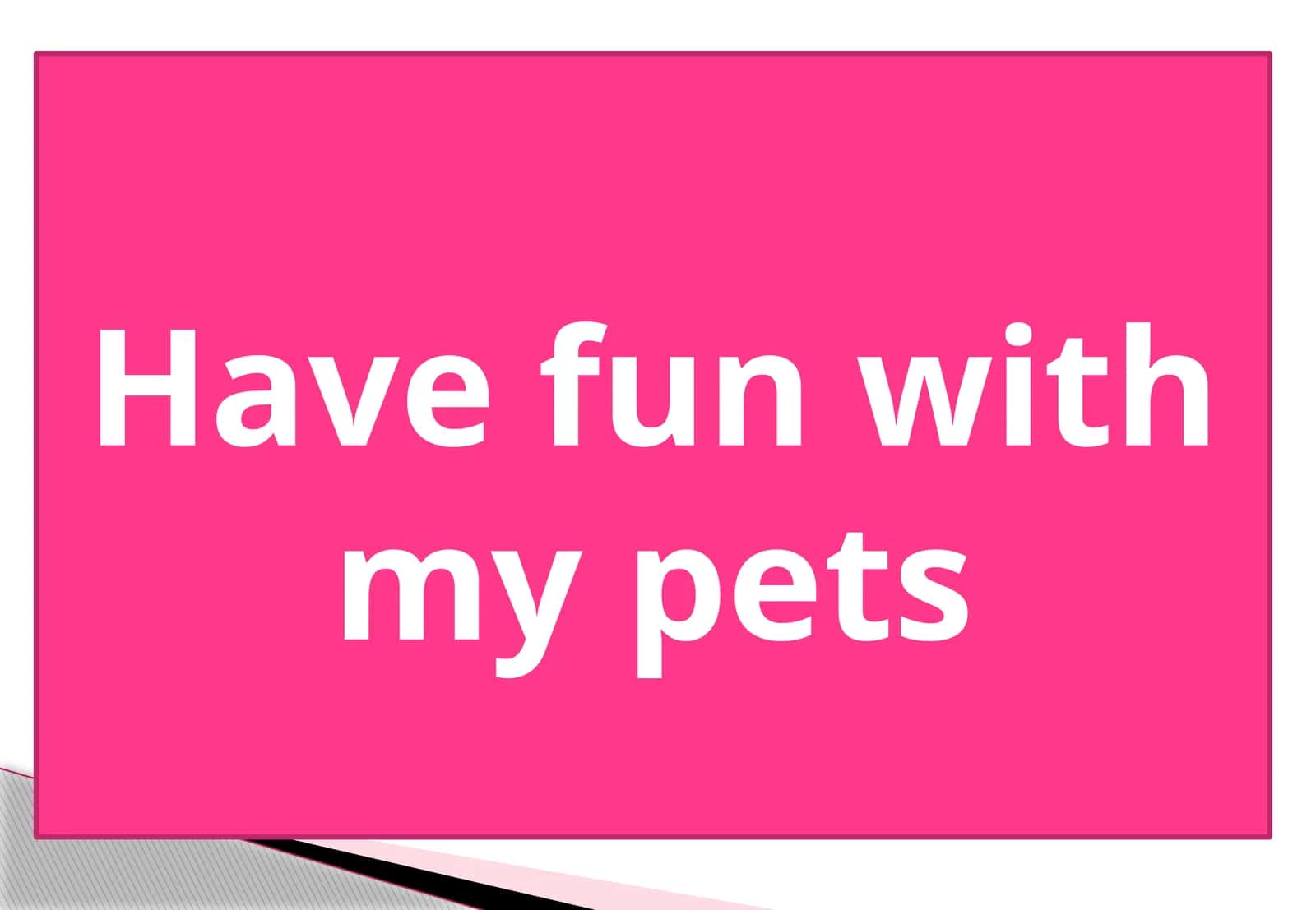 5-sinf Ingliz tili fanidan Have fun with my pets dars ishlanmasi 1