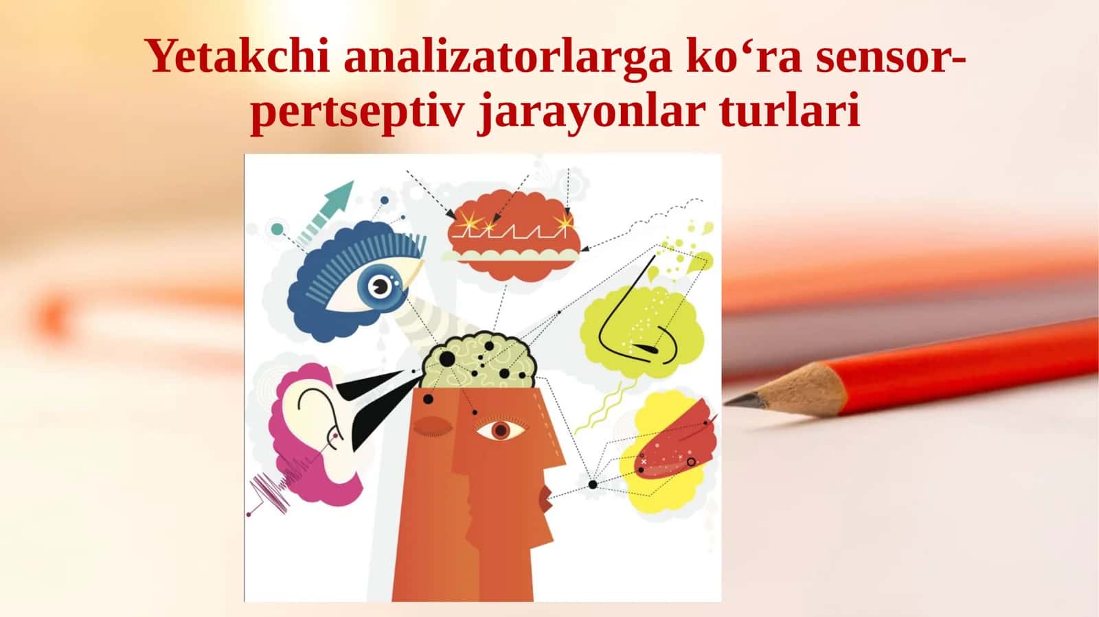 Yetakchi analizatorlarga ko‘ra sensor-pertseptiv jarayonlar turlari. 1