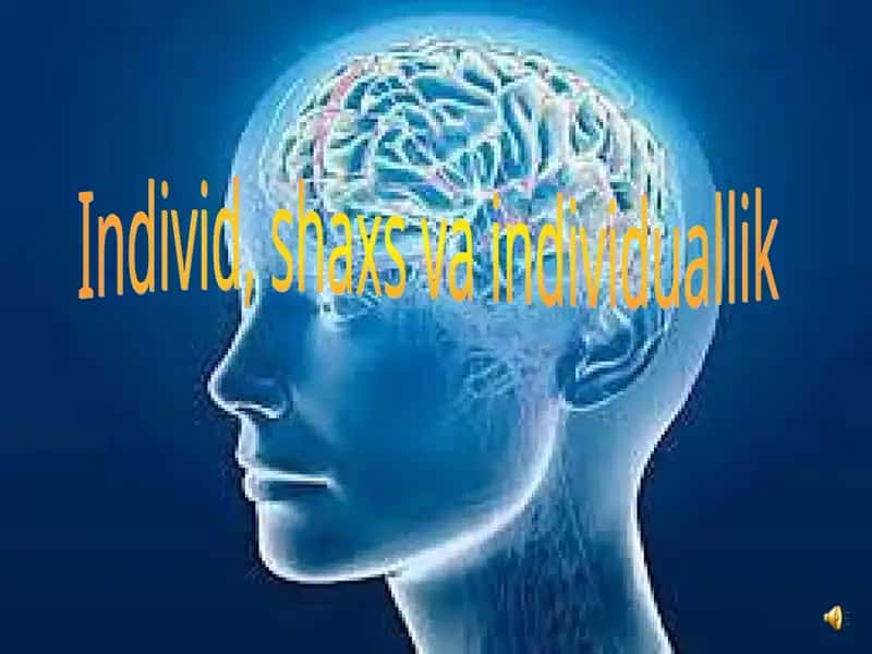 Individ, shaxs va individuallik 1