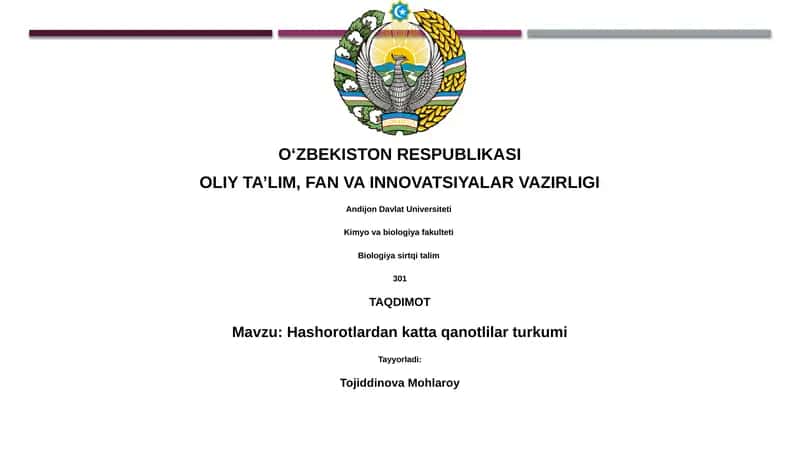 Katta qanotli hasharotlar