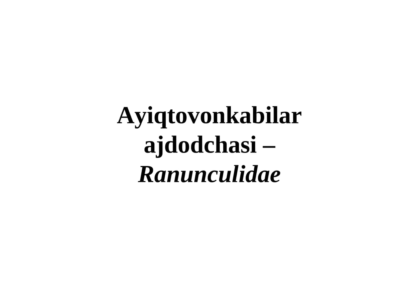 Ayiqtovonkabilarajdodchasi 1