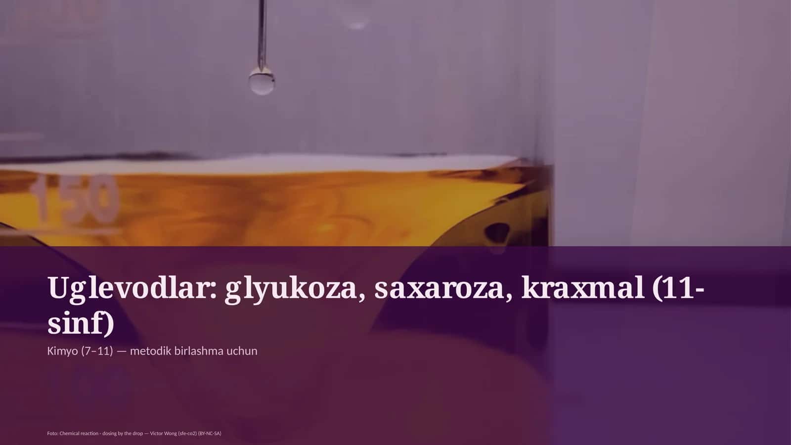 Uglevodlar: glyukoza, saxaroza, kraxmal (11-sinf) 1