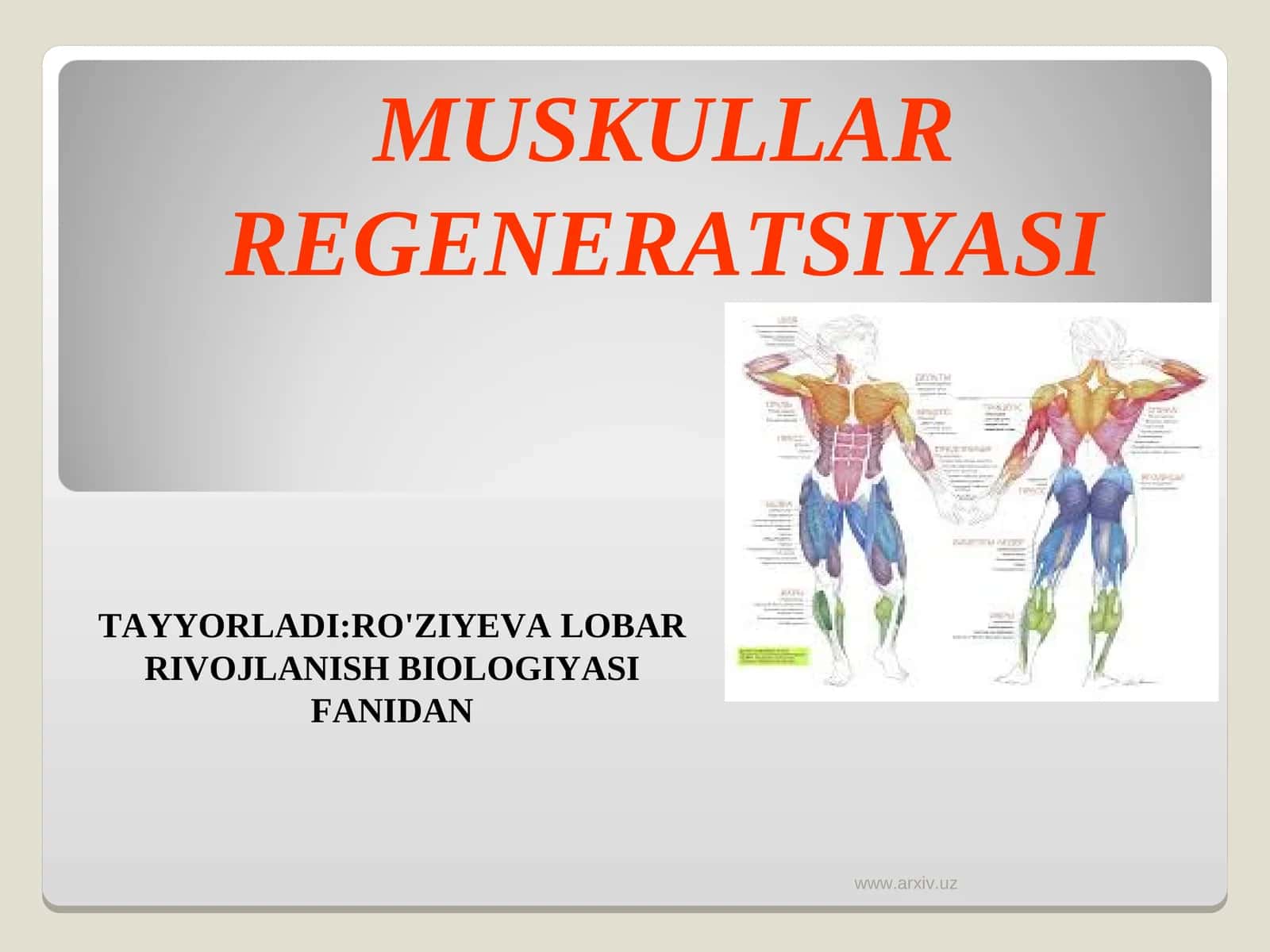MUSKULLAR REGENERATSIYASI 1
