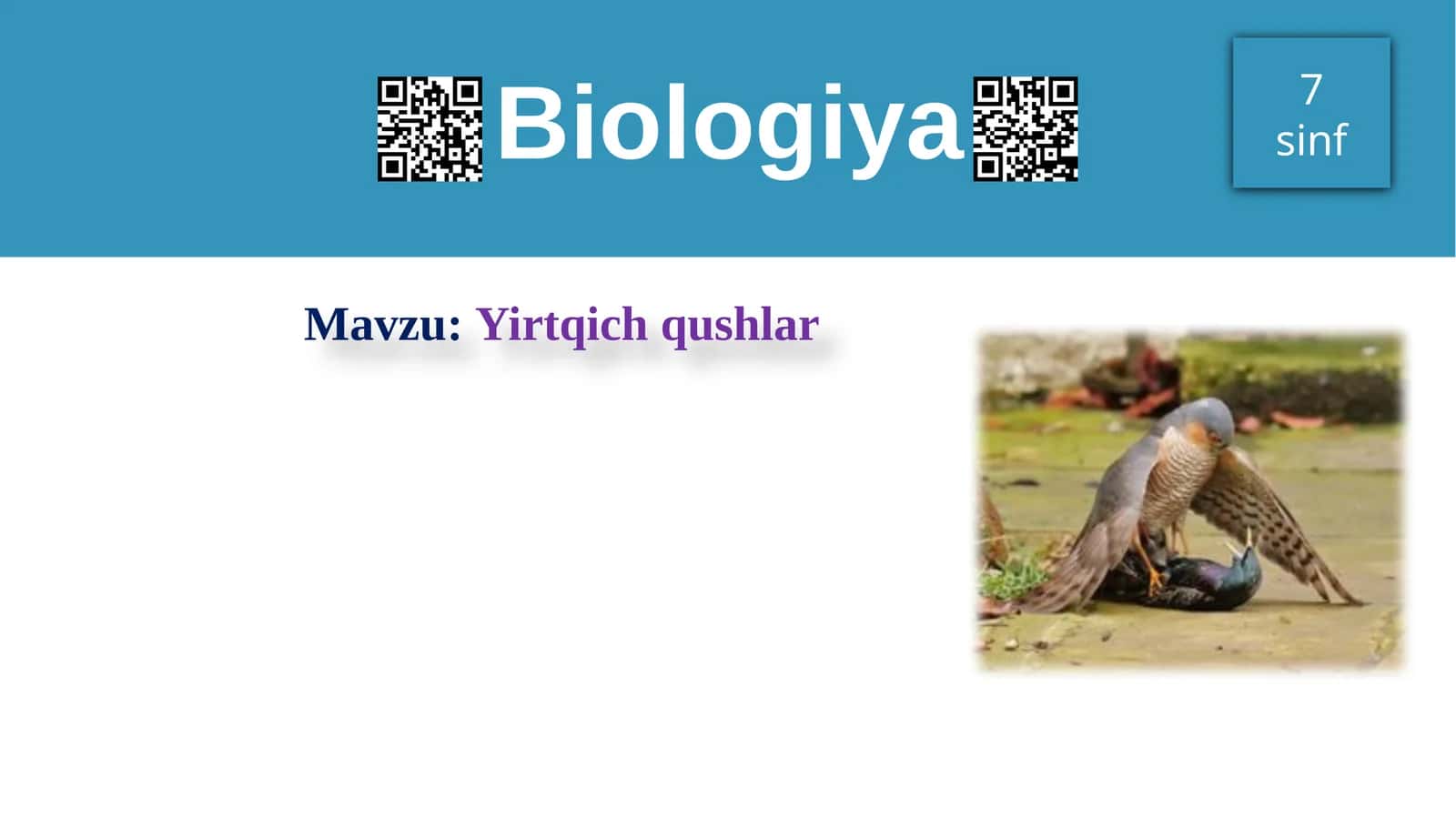 Yirtqichqushlar 1