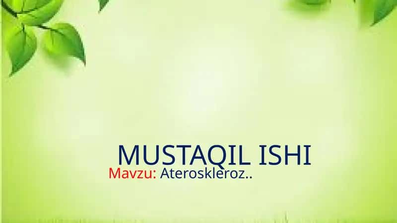 MUSTAQIL ISHI 1