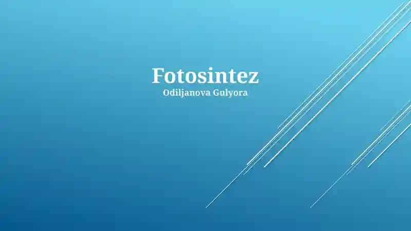 Fotosintez