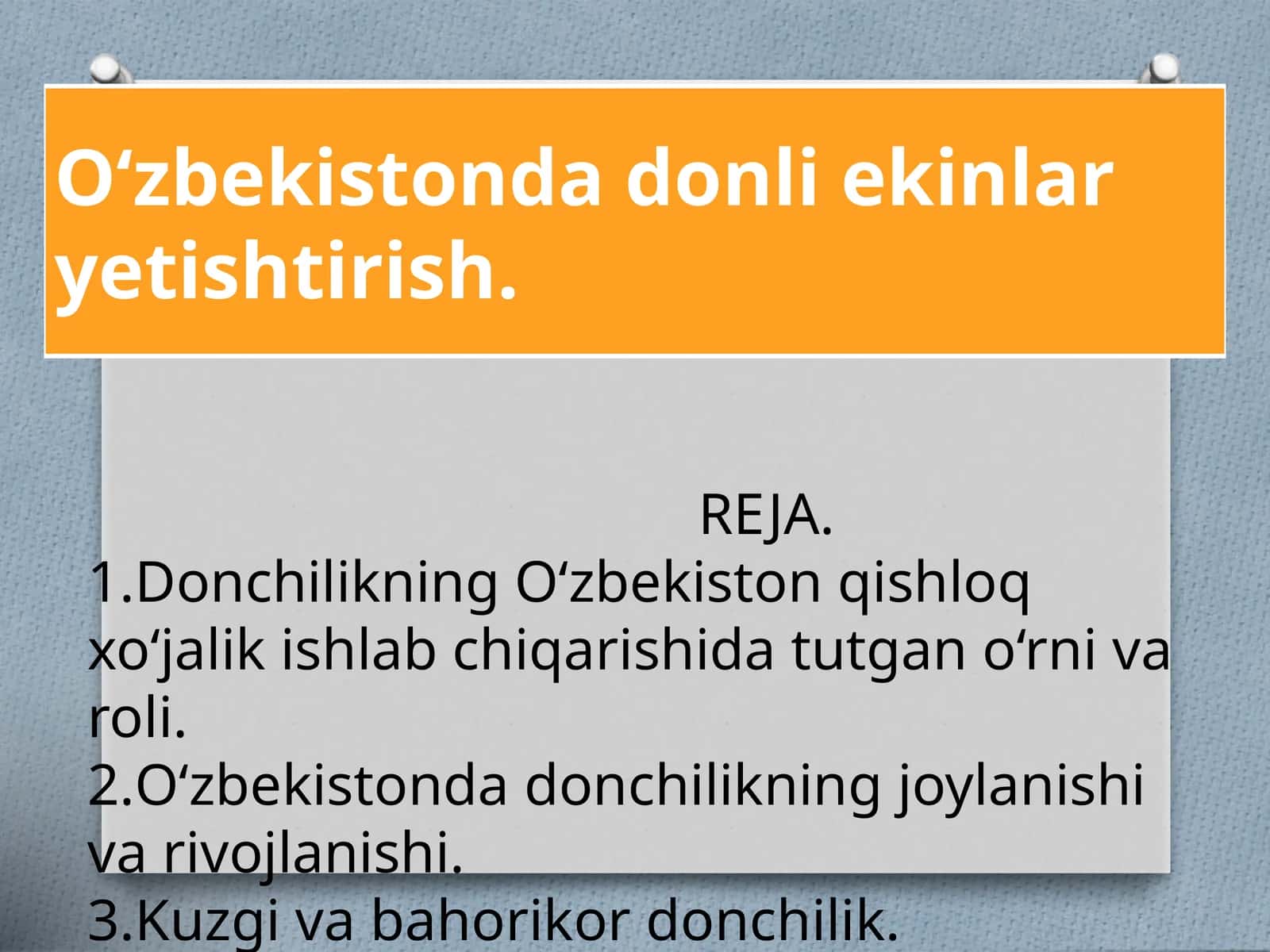 Donli ekinlar yetishtirish 1