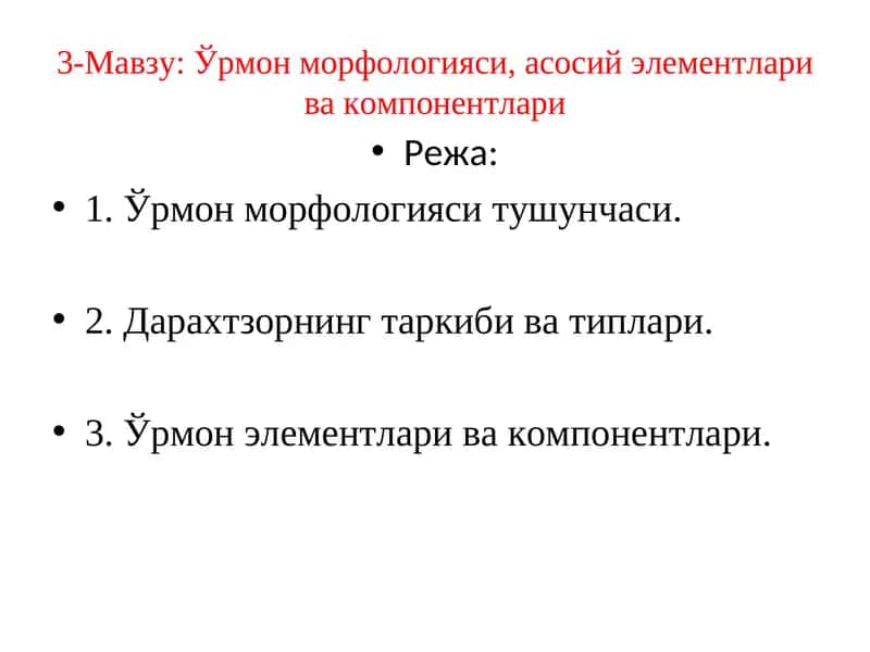 Ўрмон морфологияси, асосий элементлари ва компонентлари 1