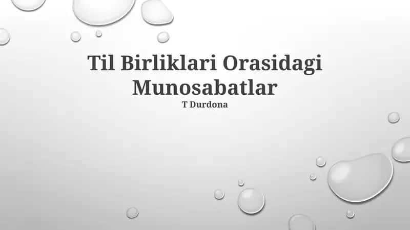 Til Birliklari Orasidagi Munosabatlar 1