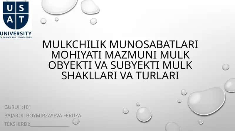Mulkchilik munosabatlari 1