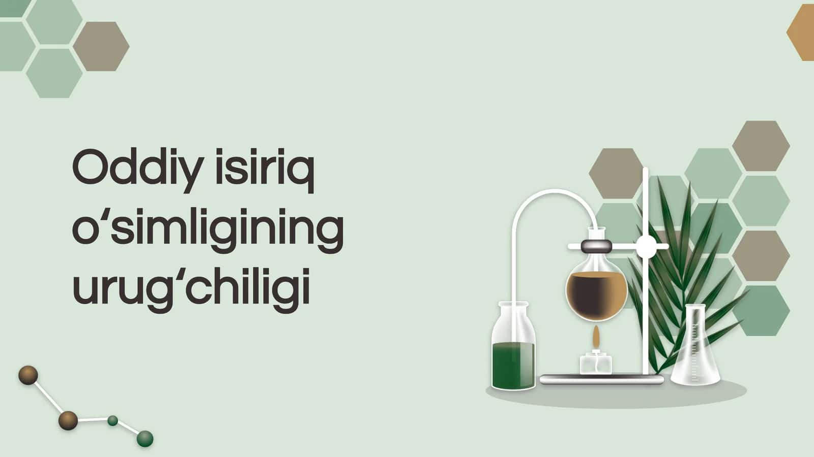 Oddiy isiriq o‘simligining urug‘chiligi 1
